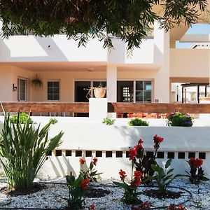 Apartamento de 3 Dormitorios
